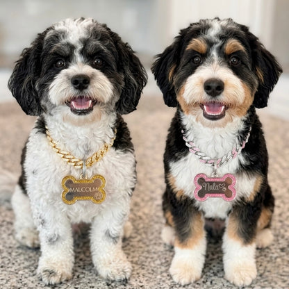 Custom Dog Tag | Pet ID Tag